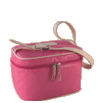 806_traincase_thumb.gif